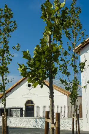 "O Melhor Natal de Portugal" - Moura